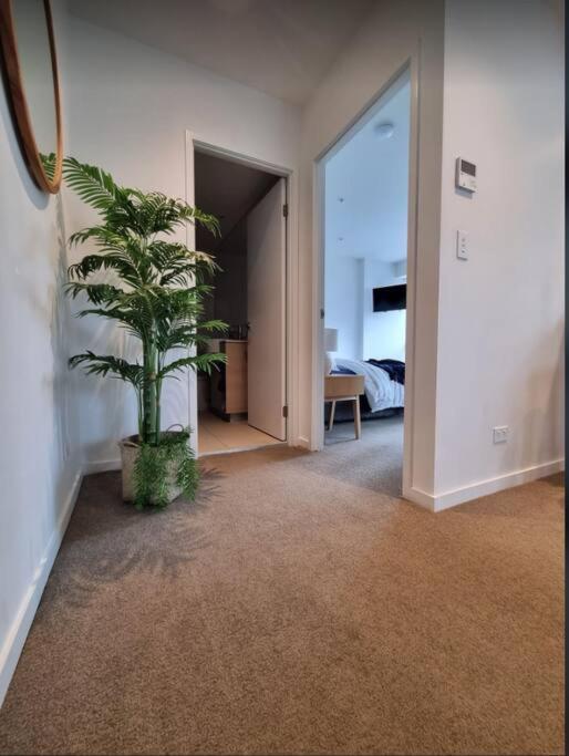 Broadbeach Stunner Modern And Central Гоулд Коуст Екстериор снимка